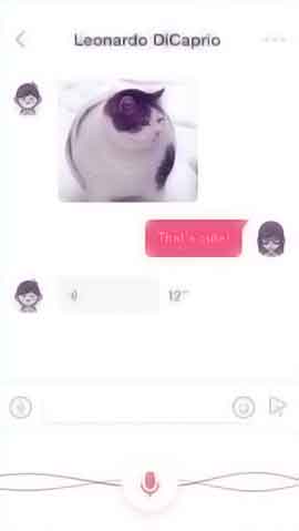 免费ddos在线攻击软件程序维护界面